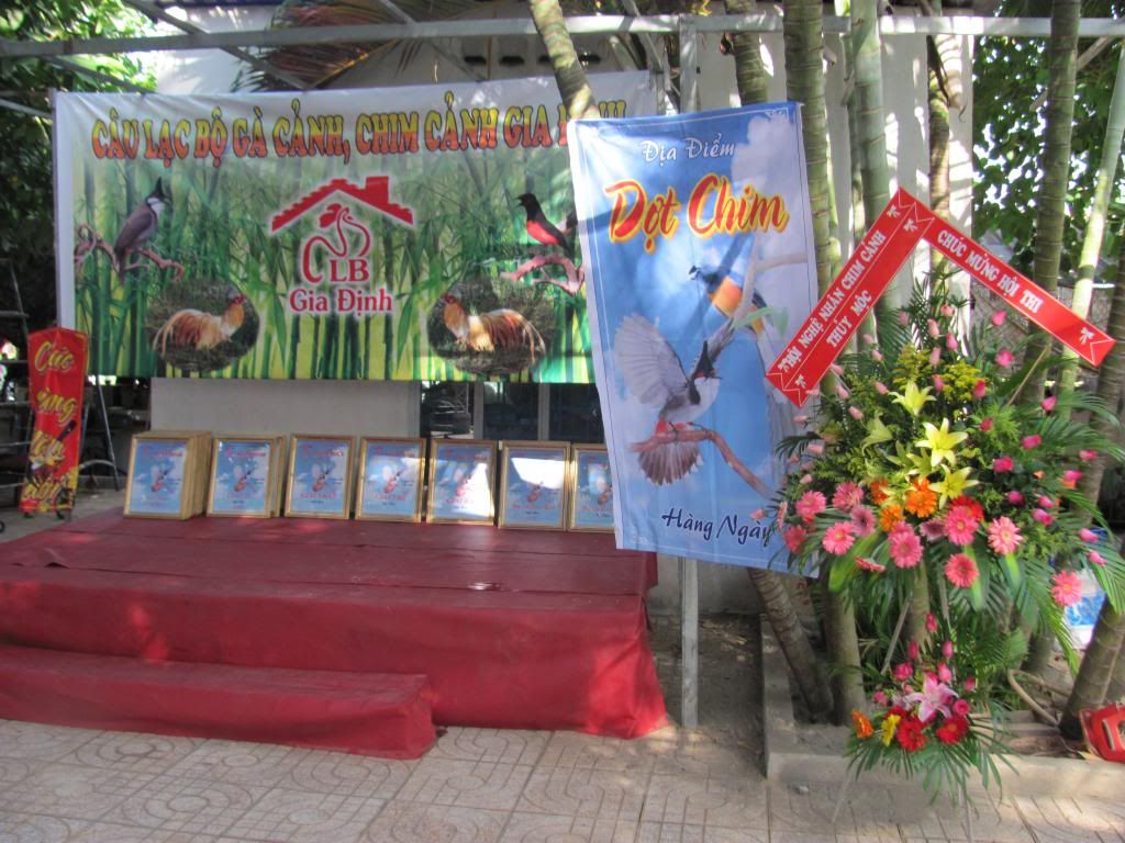 IMG_0007_zps3b264bee.jpg